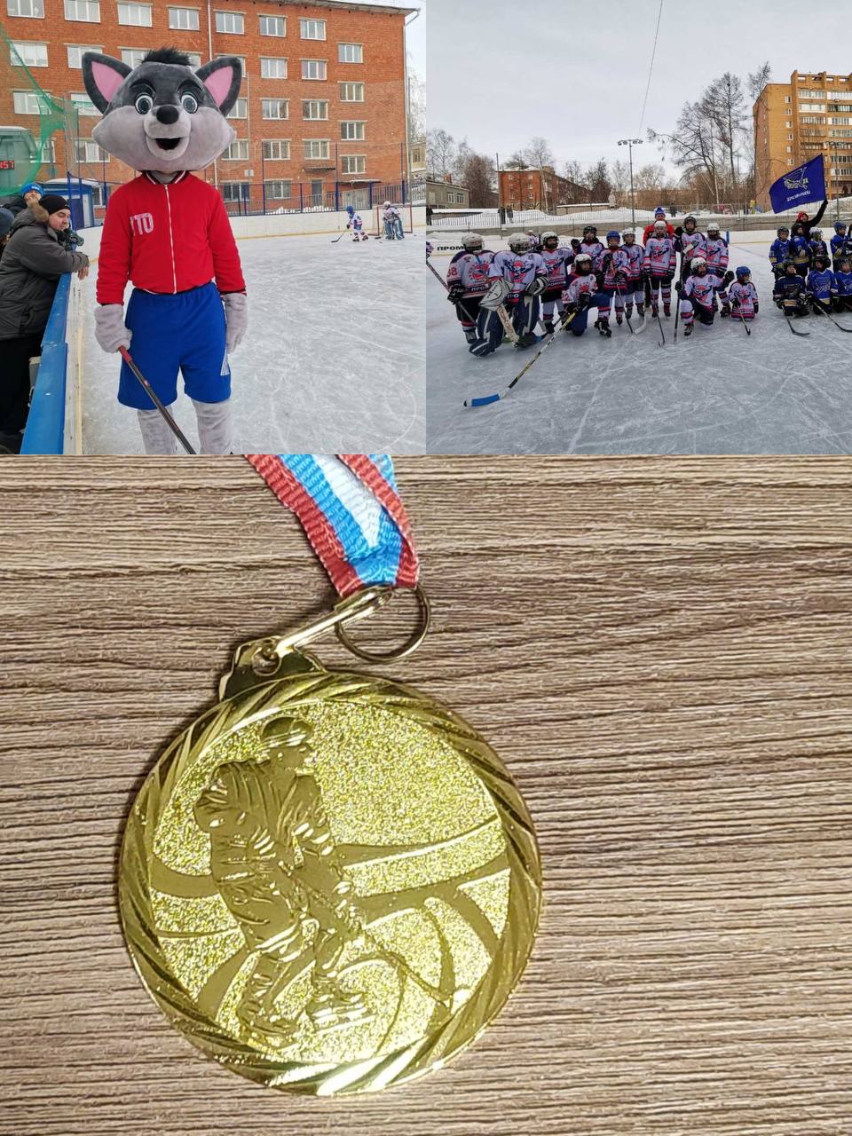 Отзыв о секции по хоккею